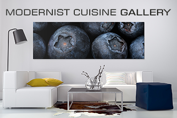 Modernist Cuisine Gallery