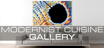 Modernist Cuisine Gallery